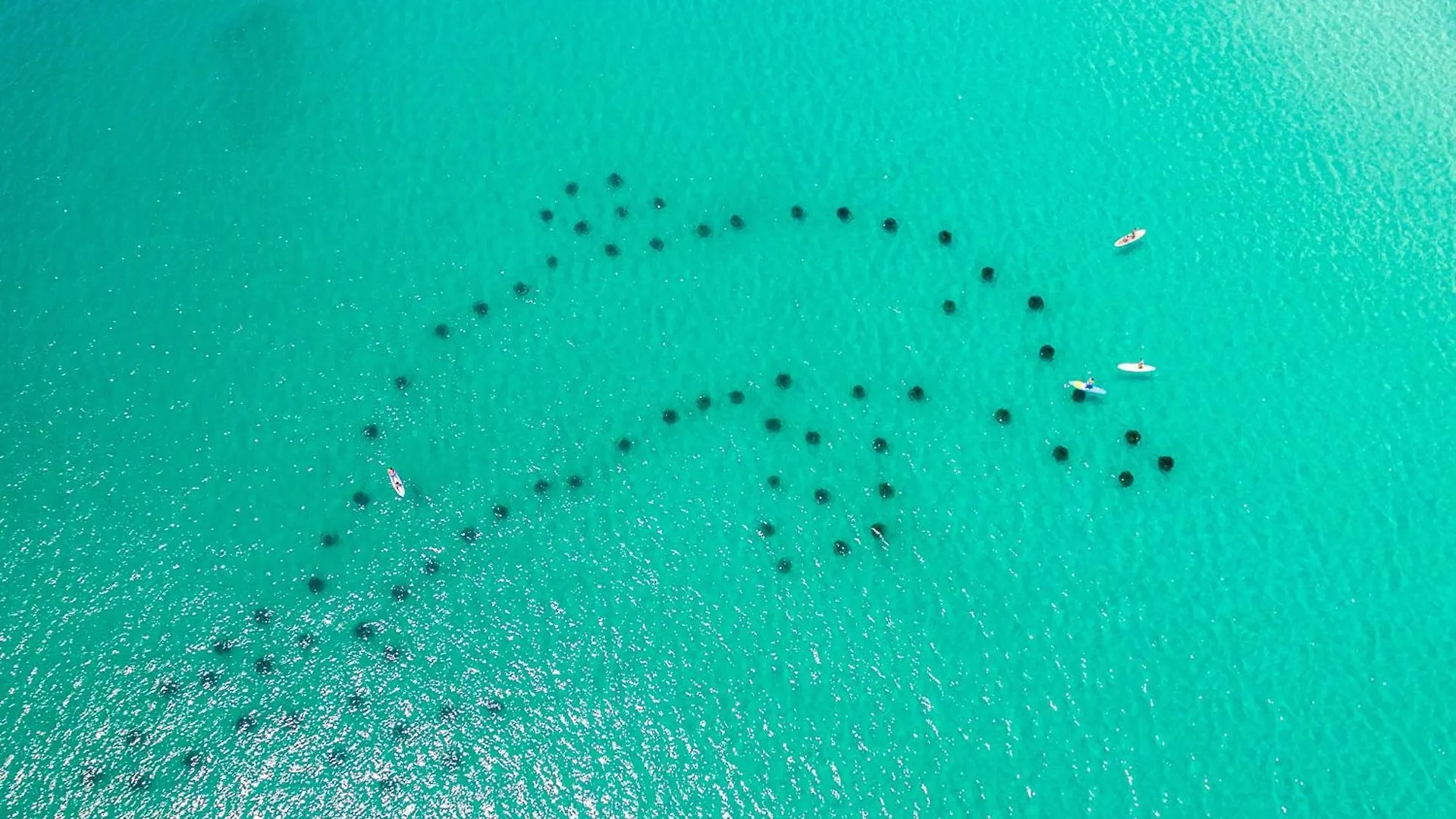 Sandpiper Cove 1086- By Holiday Isle Properties Destin United States